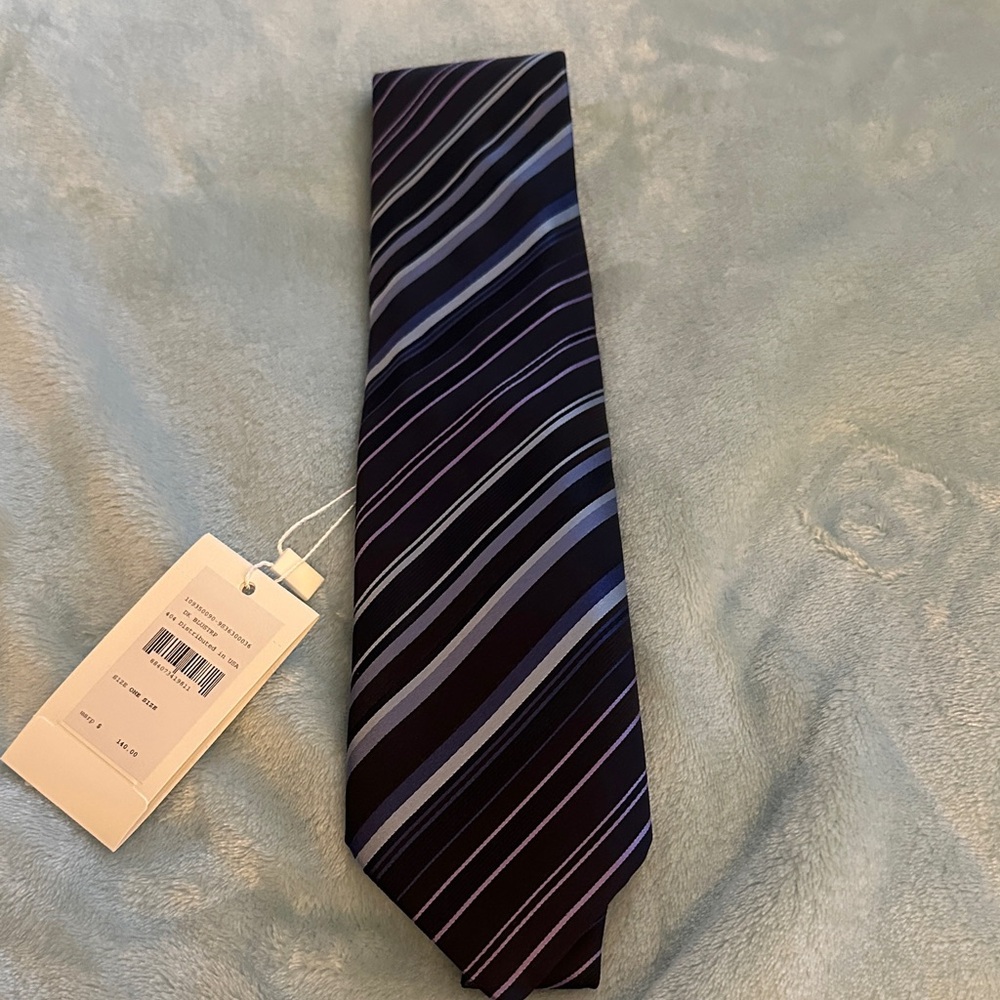 Armani Elegant Striped Tie in Blue and Purple